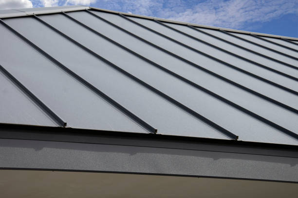 Best Skylight Installation and Repair  in Hebron, NE